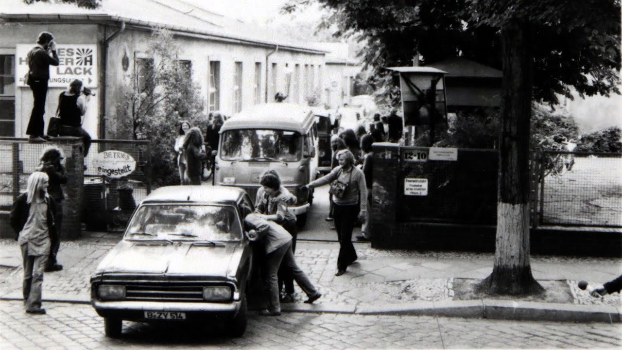 Кино. Видеограф и фотограф Дмитрий Лимперт