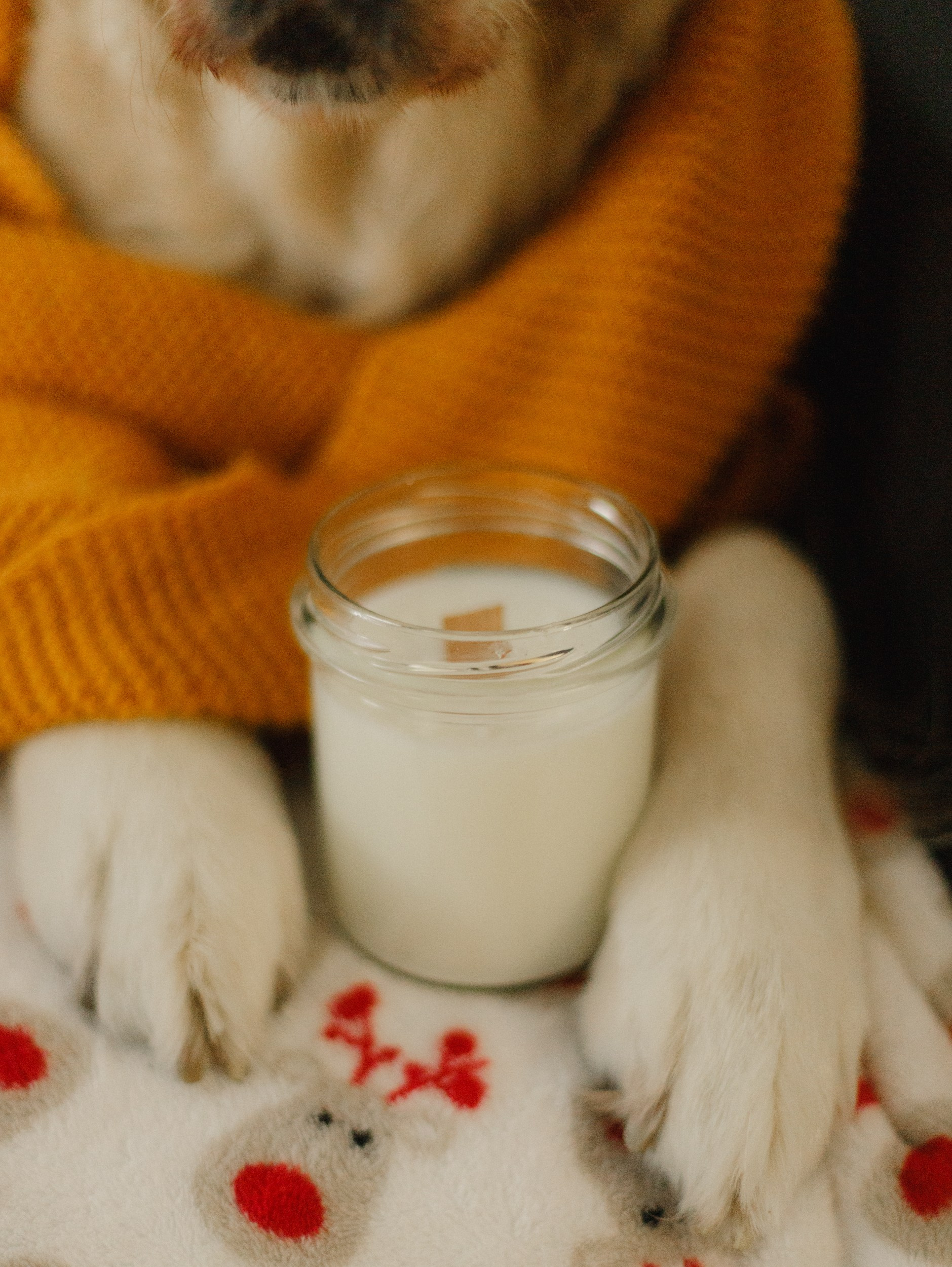 Candles | insta content. Kaja | fotograf we Wrocławiu | ludzie i psy