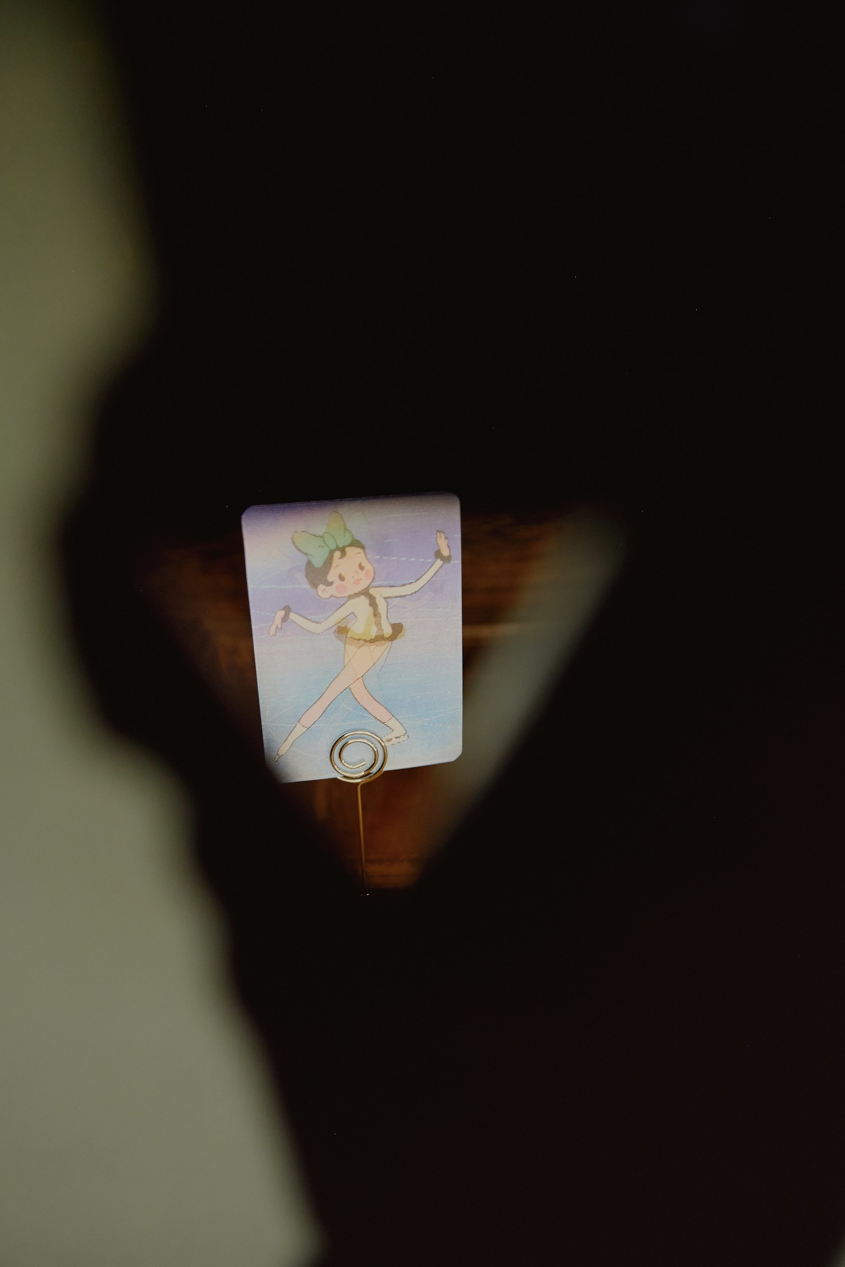 Spira mirabilis| Удивительная спираль. Alina Kugush