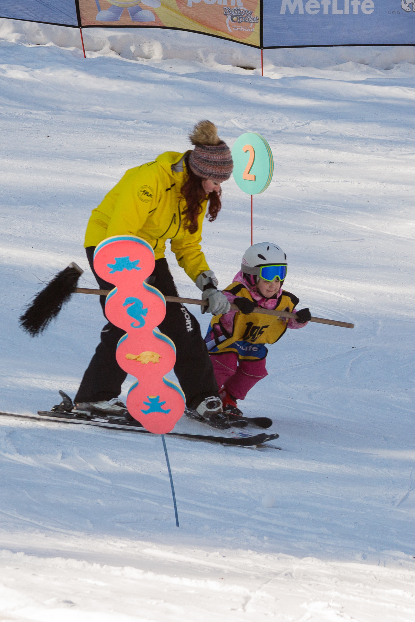 Ski School Yellow Point, Herlikovice. Kiki-Niki-Cha! Learn, play, and discover with us!
