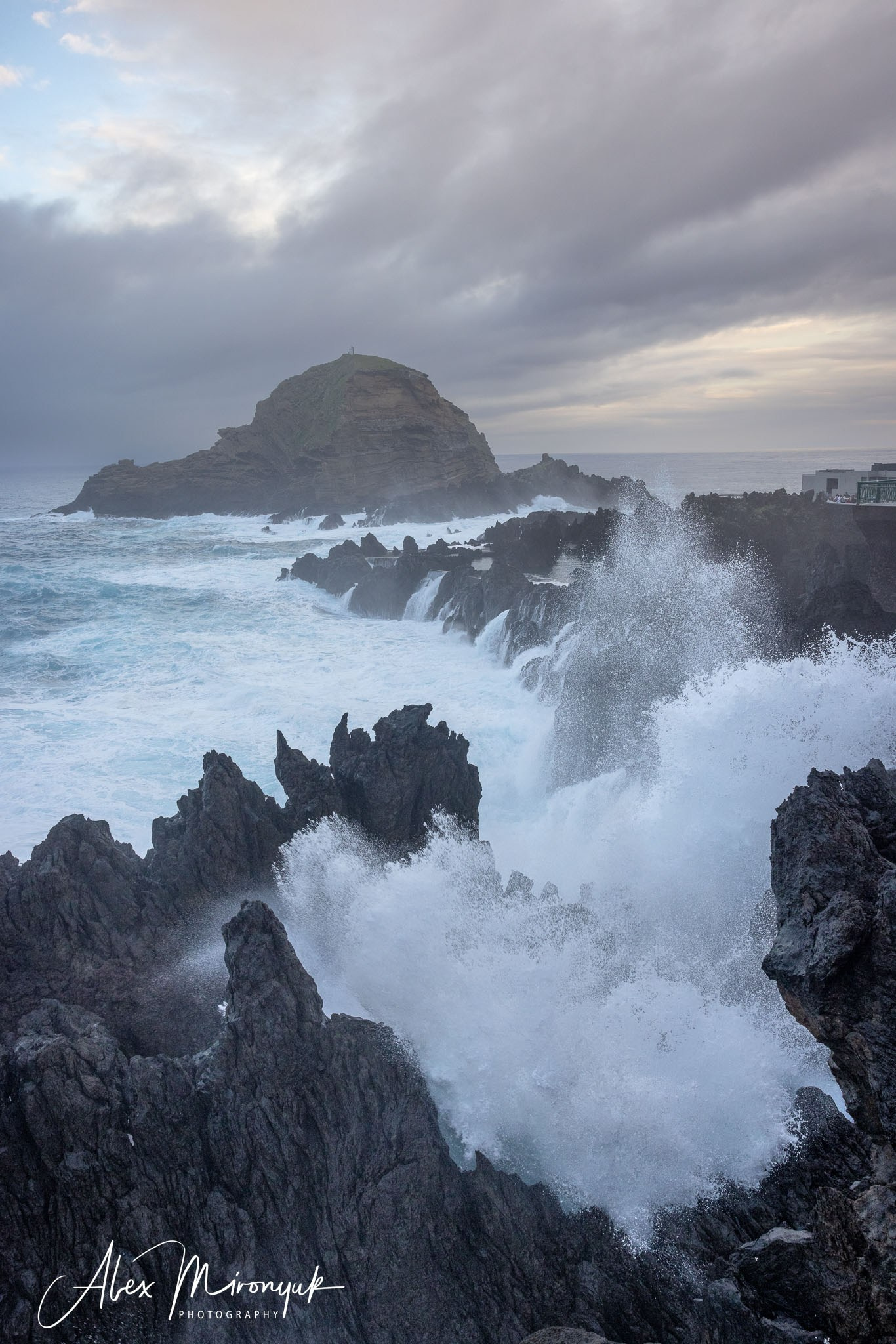 Azores And Madeira. Pet, Senior, Landscape, portrait studio, photographer in Miami and Sou