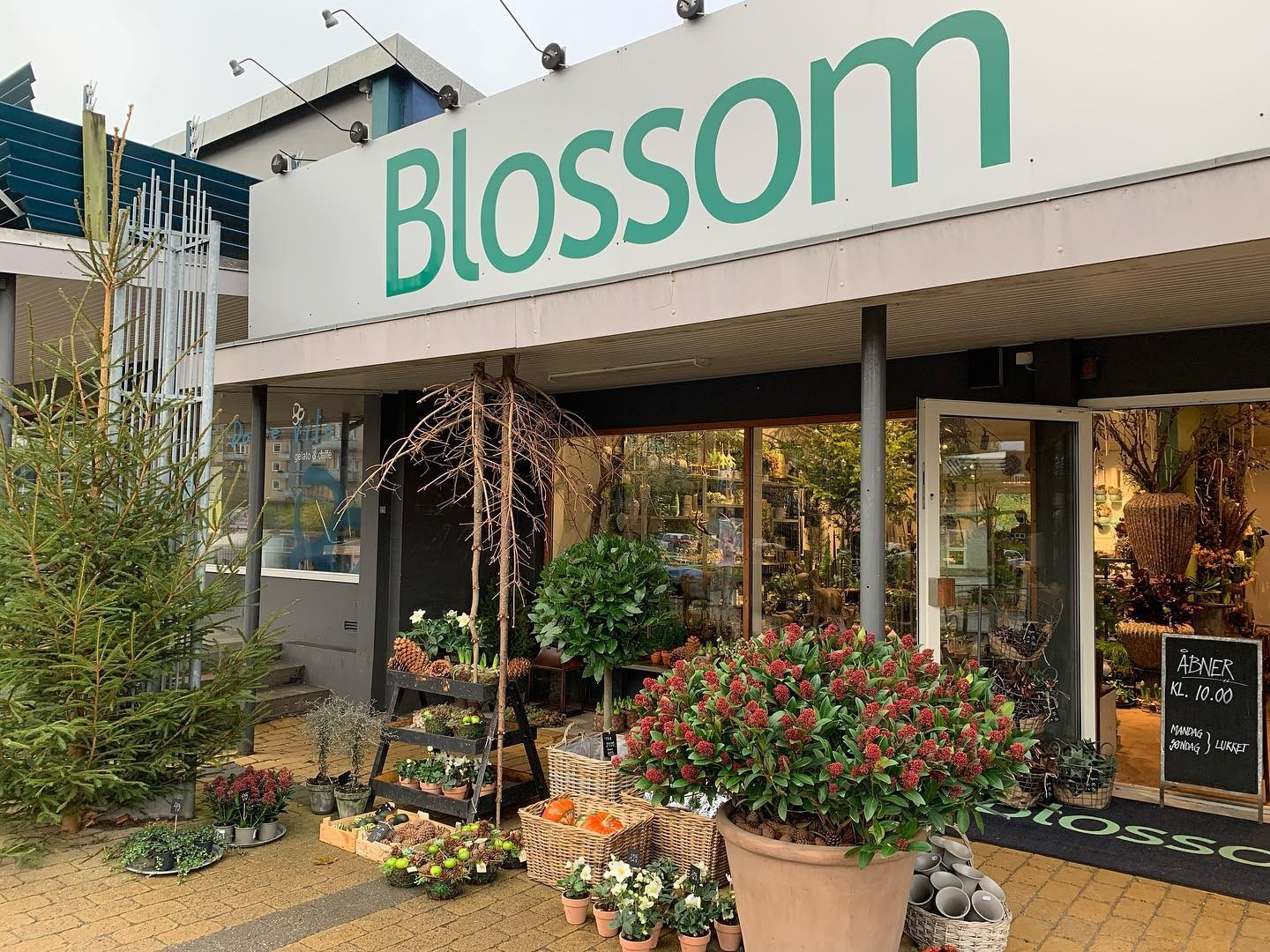 BLOSSOM DIN DØGNÅBEN BLOMSTERBUTIK I HØJBJERG, AARHUS