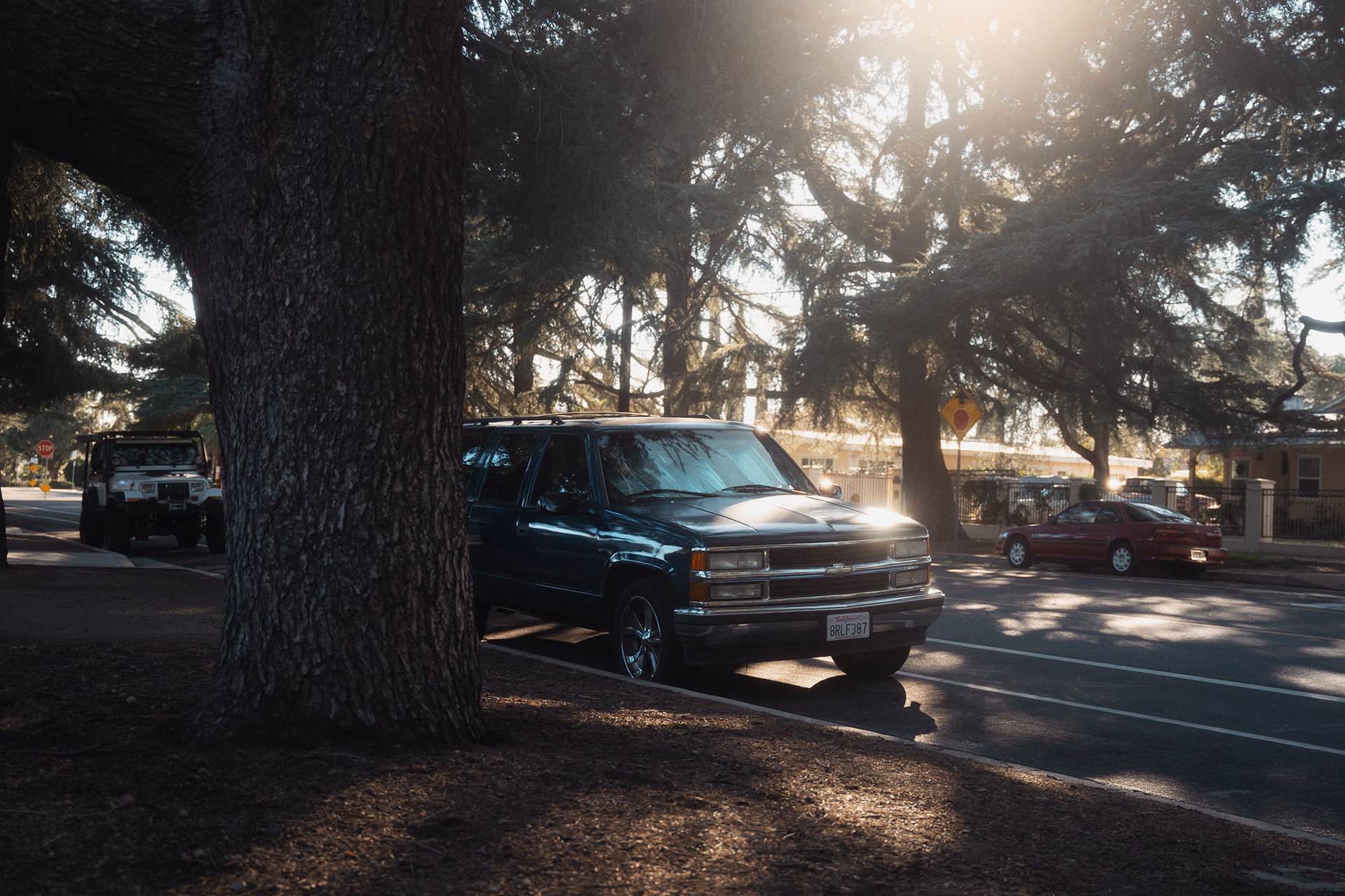 Street photography. Elnitskii Sam — Seattle photographer