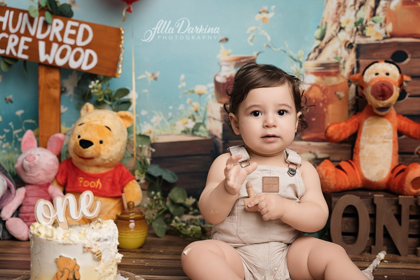 Arta’s “Winnie The Pooh” cake smash session