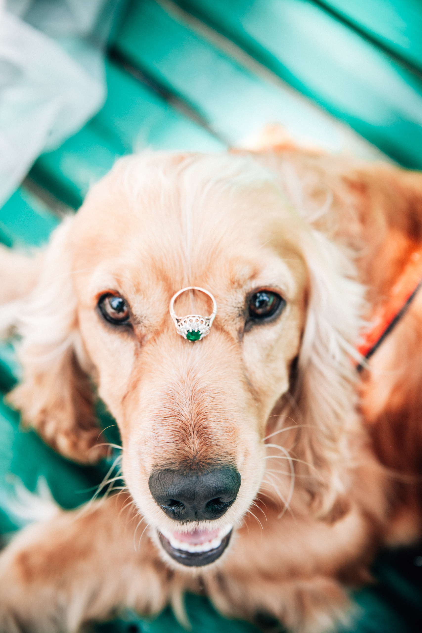 Iurkovski PHOTOGRAPHY in Europe. Luxury destination weddings and events