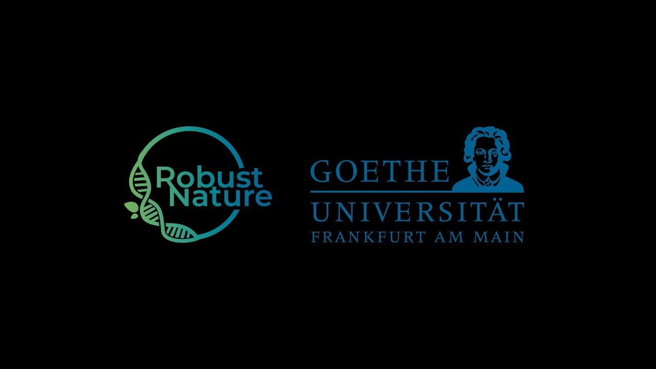 Короткометражные фильмы. Фотограф и фильммейкер Дмитрий Лимперт