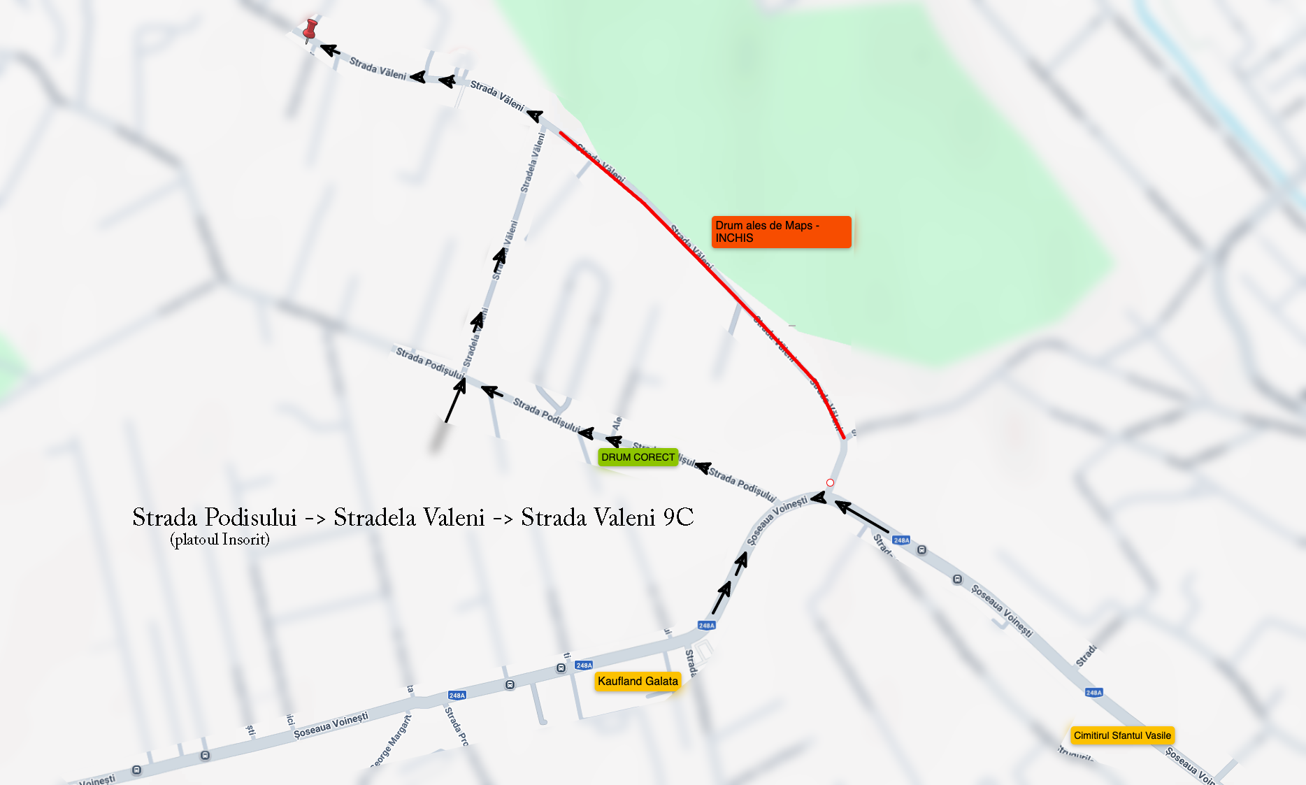 Regulament Studio. BCarp Productions