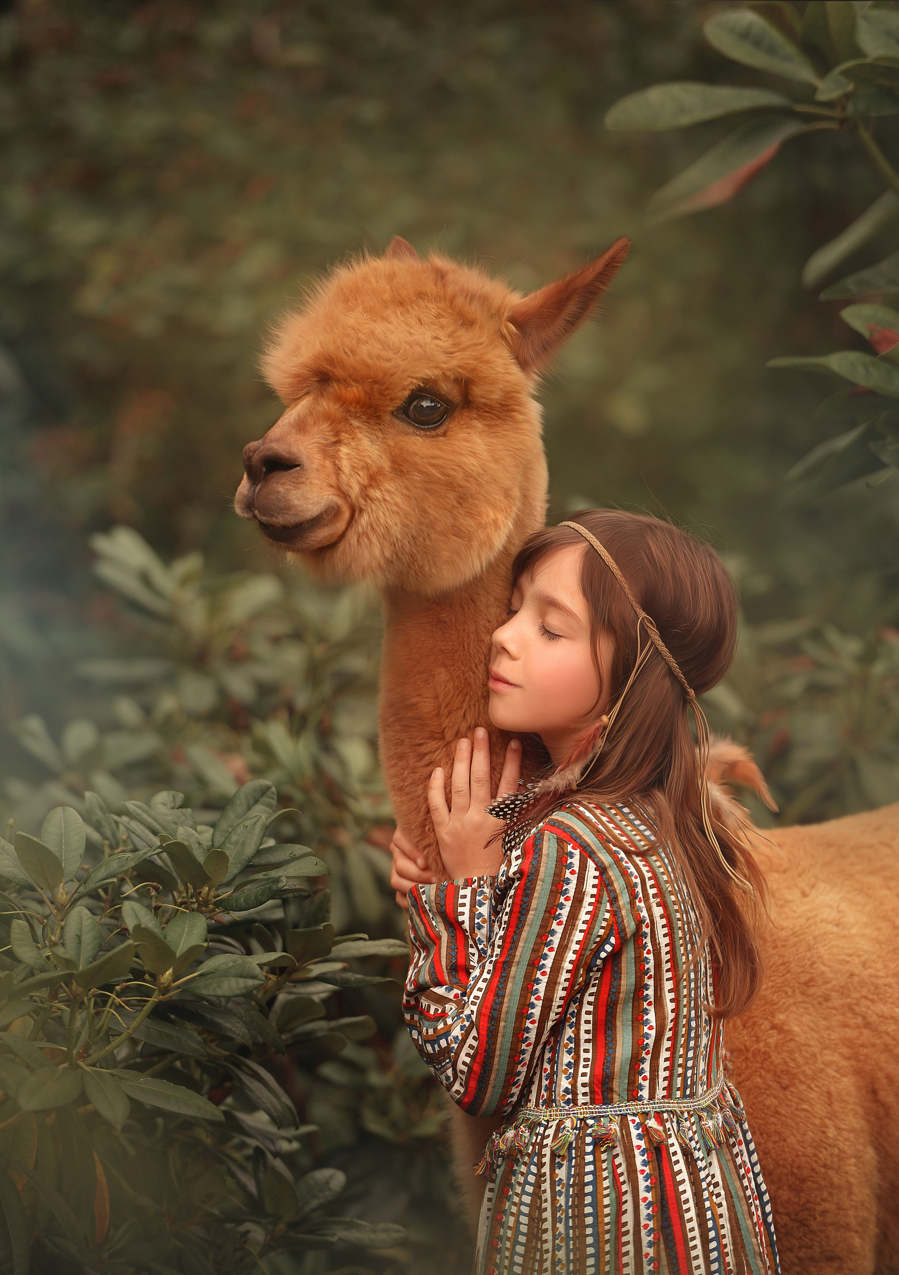 Oldenburg, Münsterland, Fotografien, suche, Tierfotografien, 