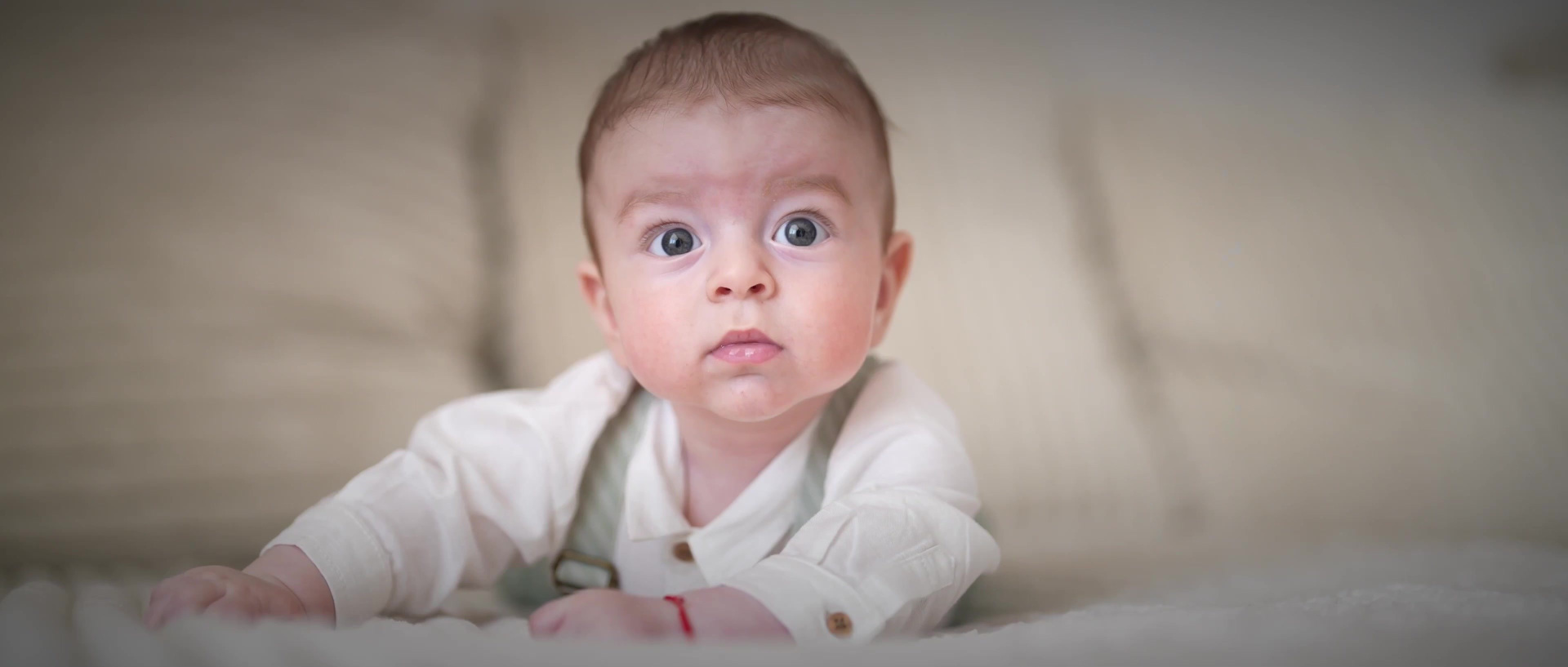 Services. Dani Toma Films