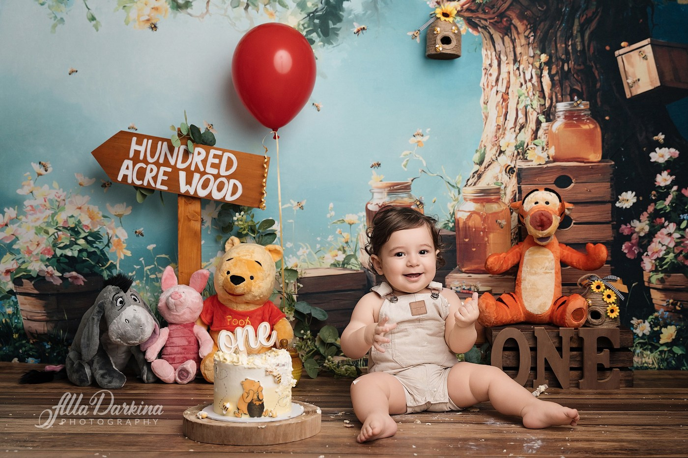 Arta’s “Winnie The Pooh” cake smash session