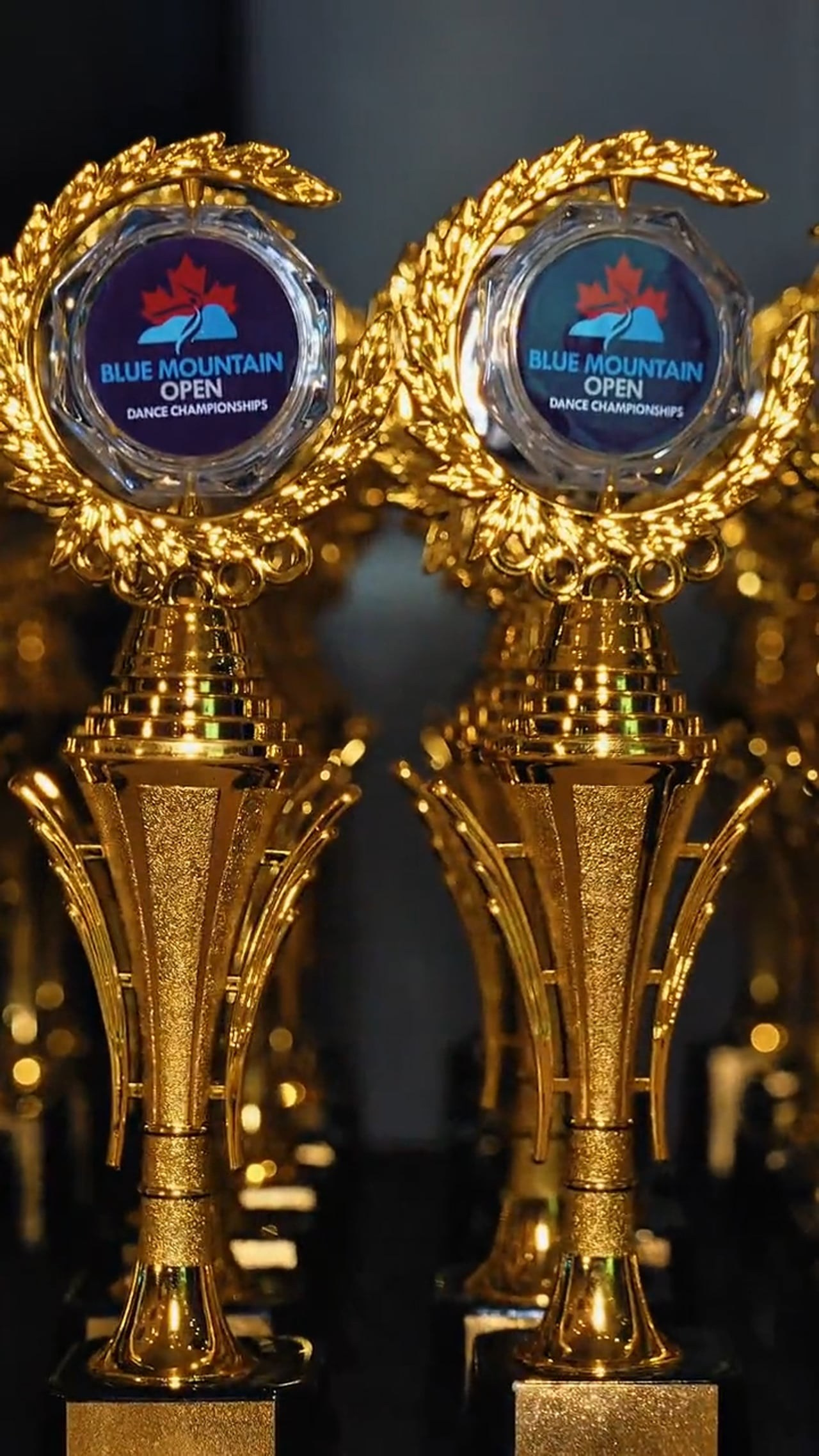 Services. Photographer | Toronto (GTA)