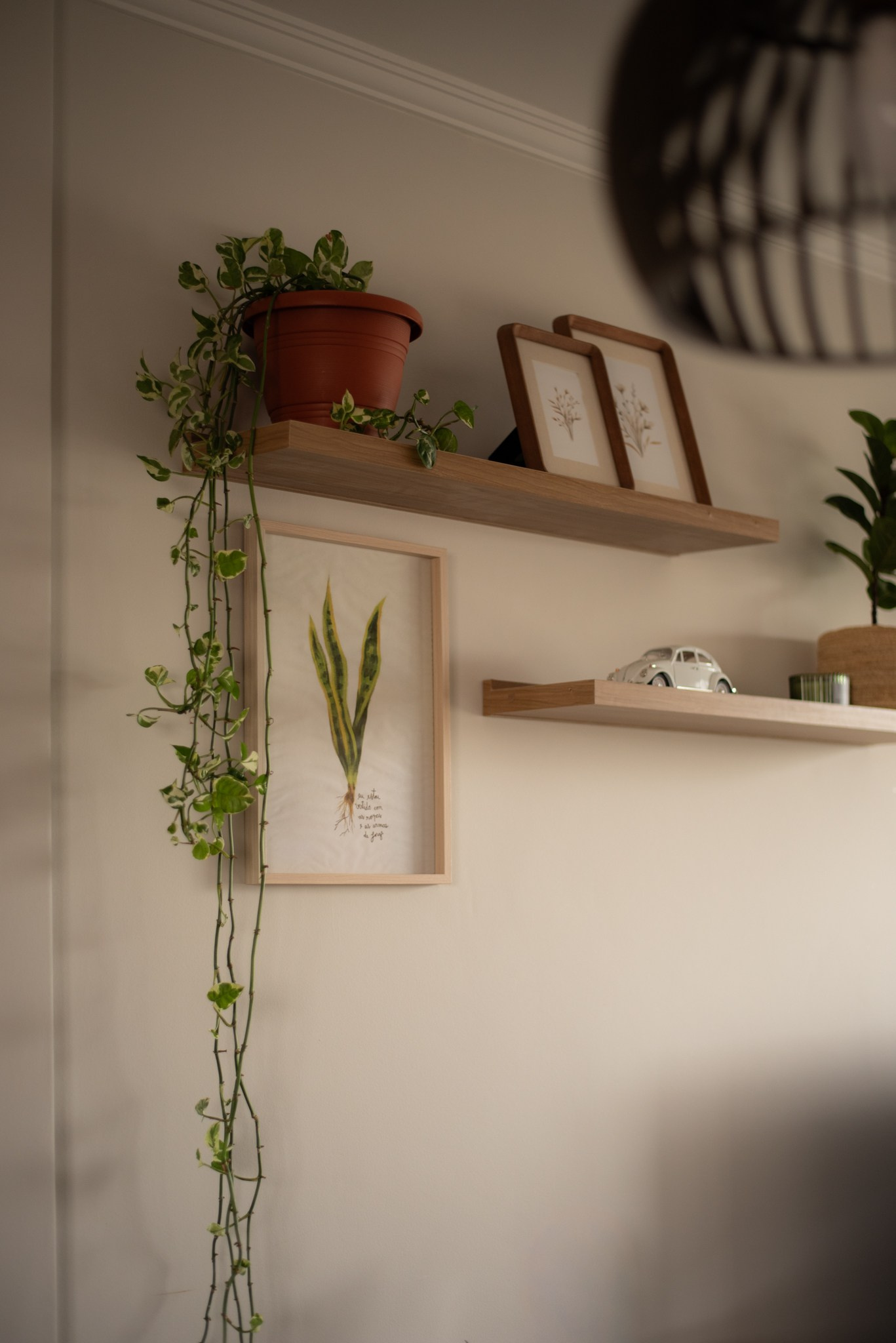 Obra Aconchego. Estúdio Laja | Arquitetura de Interiores