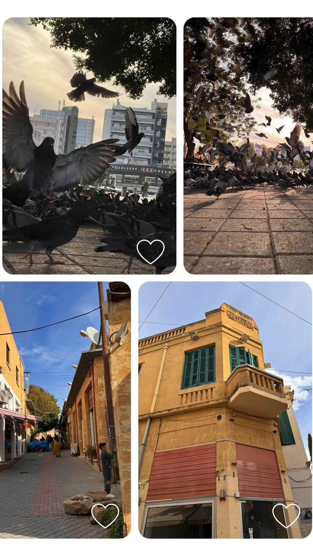 ONLINE SCHULE Videocreator. Fotografin und Videografin im Raum Osnabrück und Emsland Alla