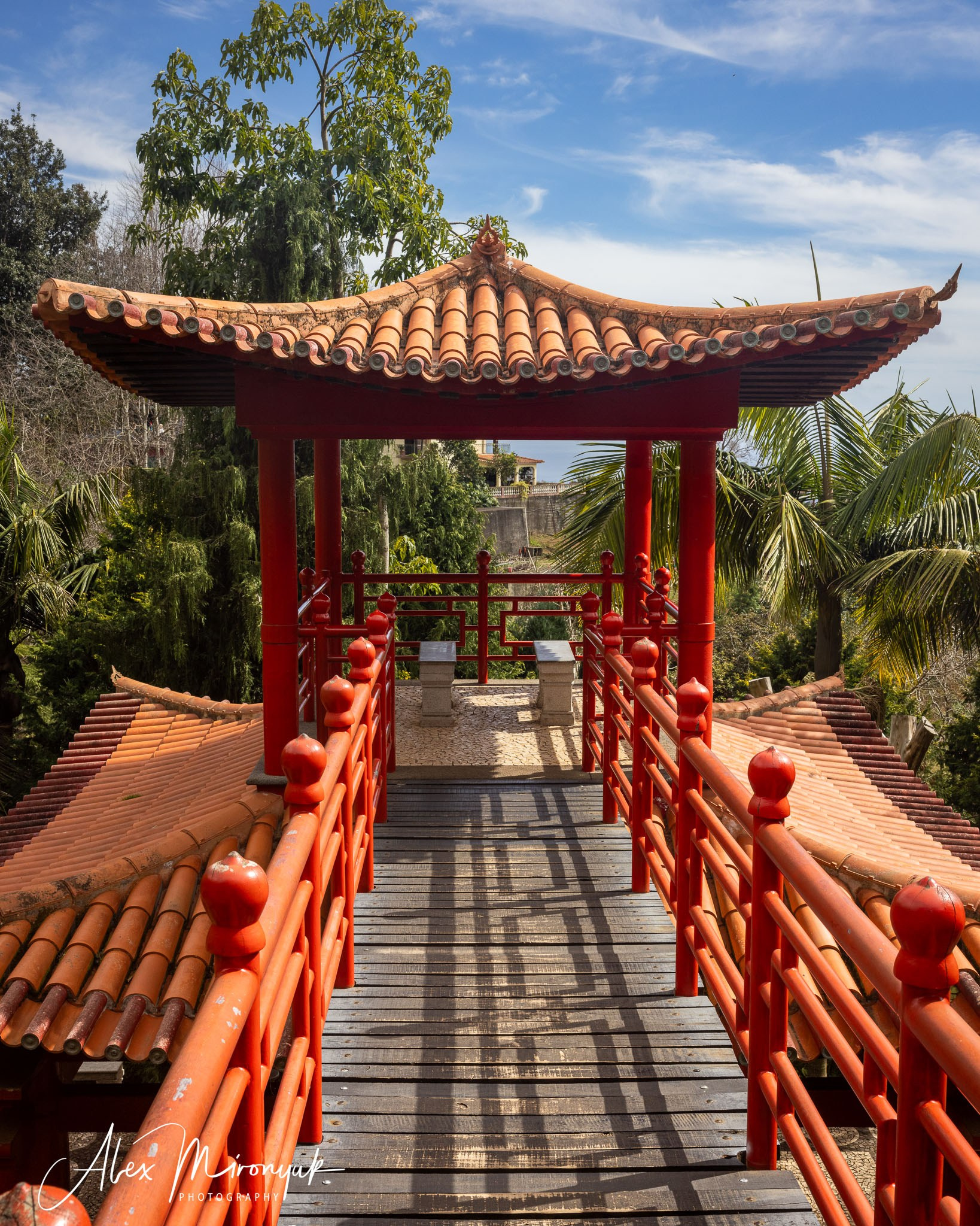 Madeira And Azores. Pet, Senior, Landscape, portrait studio, photographer in Miami and Sou