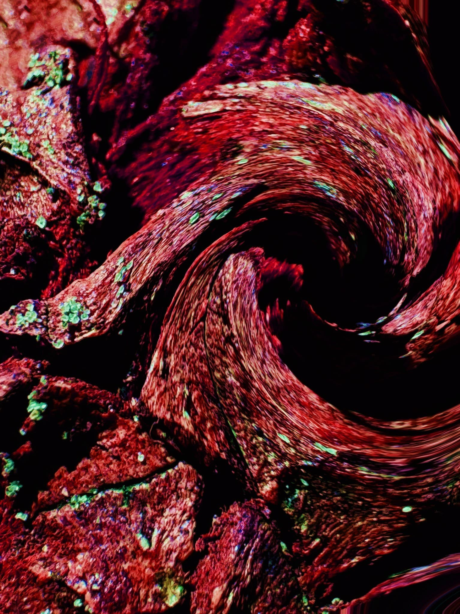 UNDERFOOT. Irina Owlik — Visual Artist