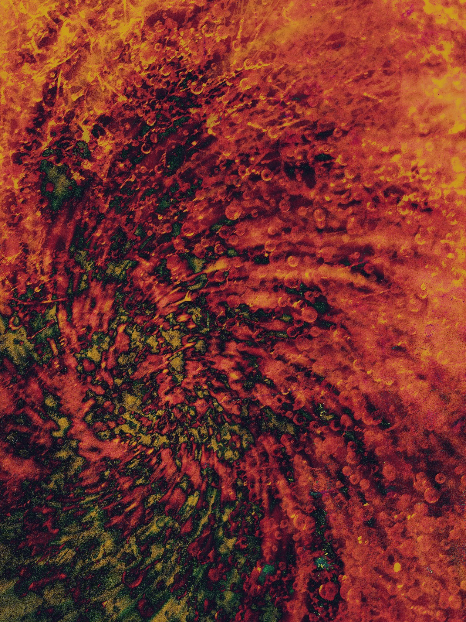 UNDERFOOT. Irina Owlik — Visual Artist