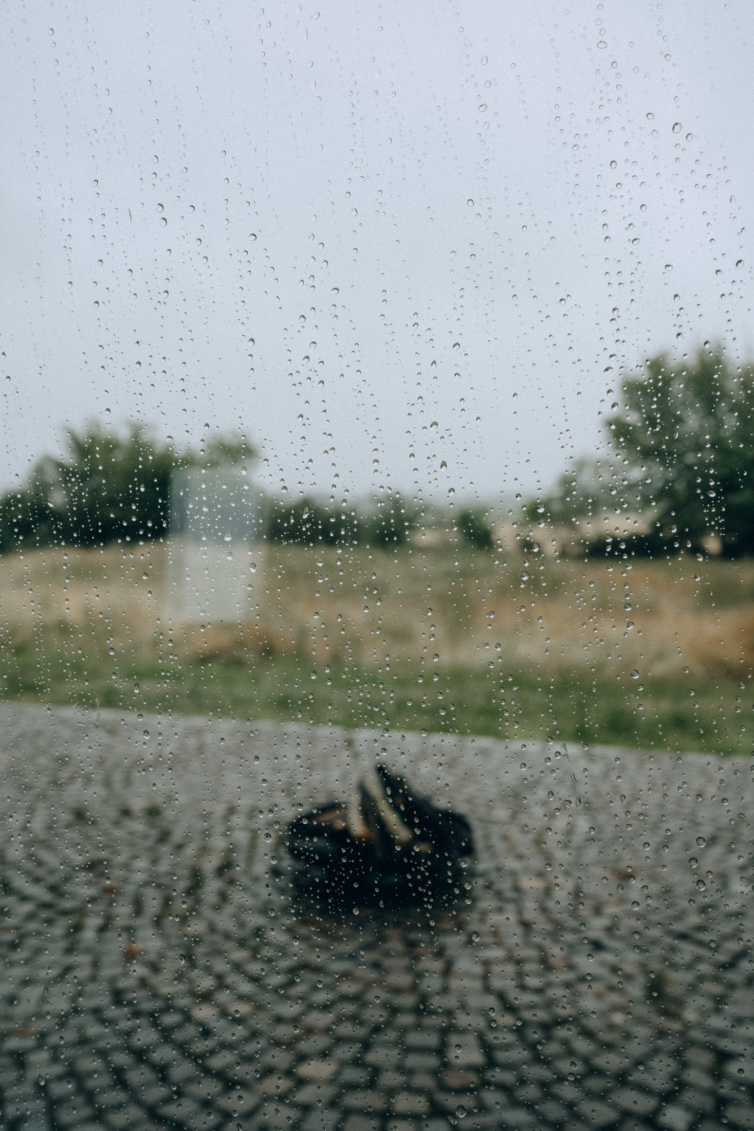 Regen auf Kopfsteinpflaster – stimmungsvolle Hochzeitsfotos in Sachsen