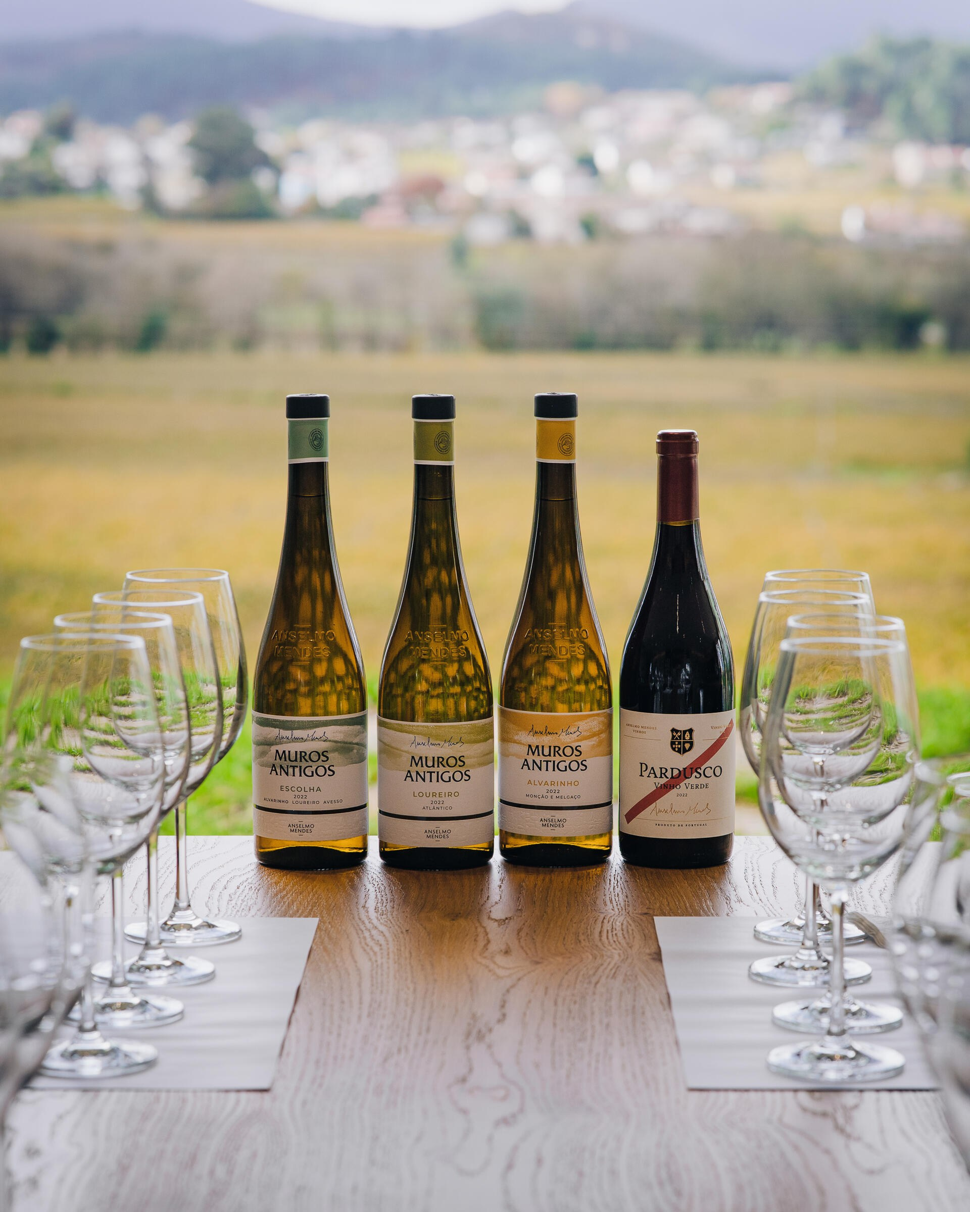 Винью Верде: путешествие на север