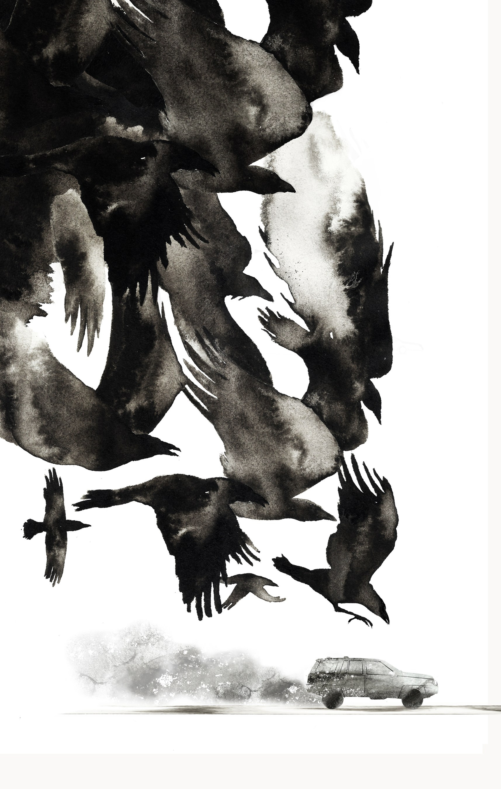 Illustrations. Artist, photographer, graphic designer, dreamer