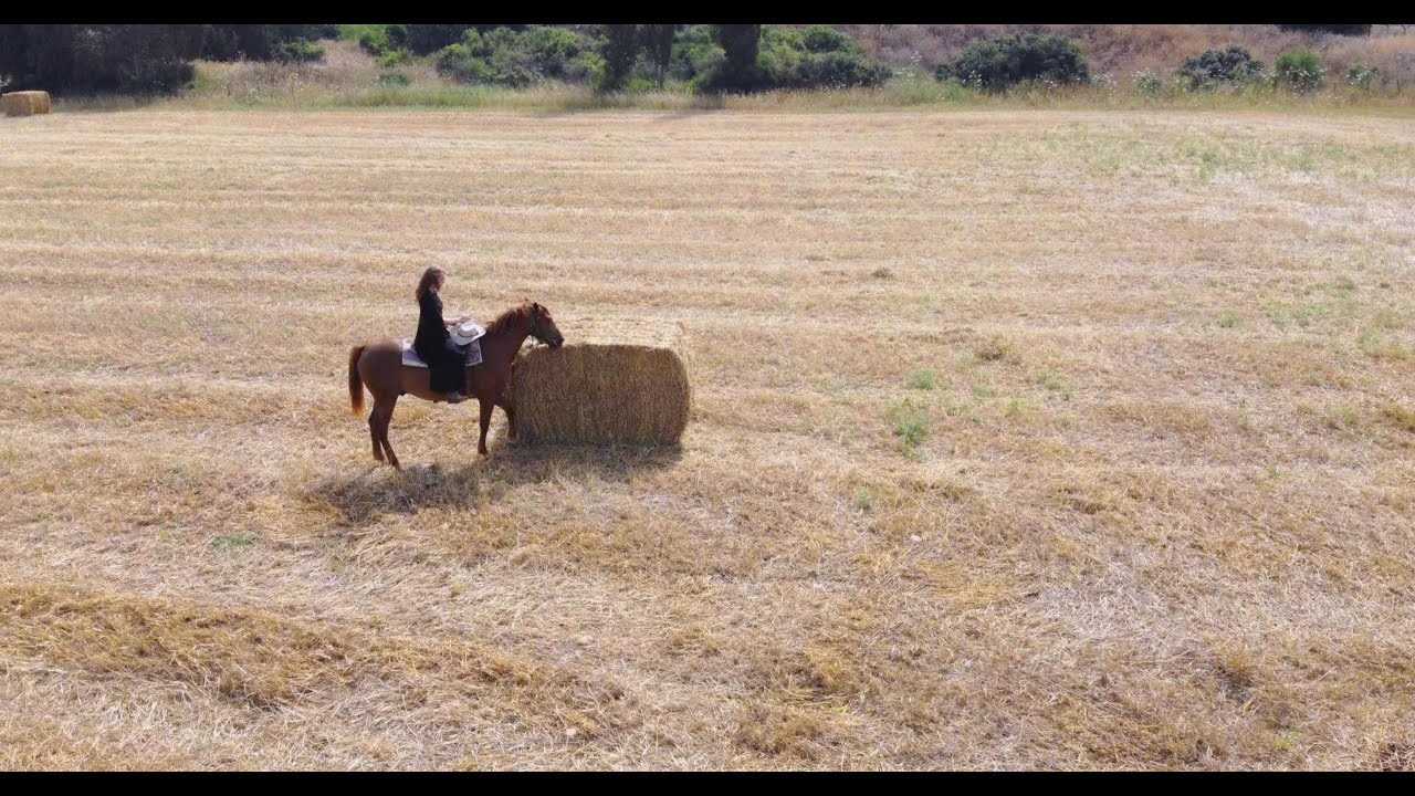 Гром. Фотограф. Визуал. Хайфа. Талья Цветкова