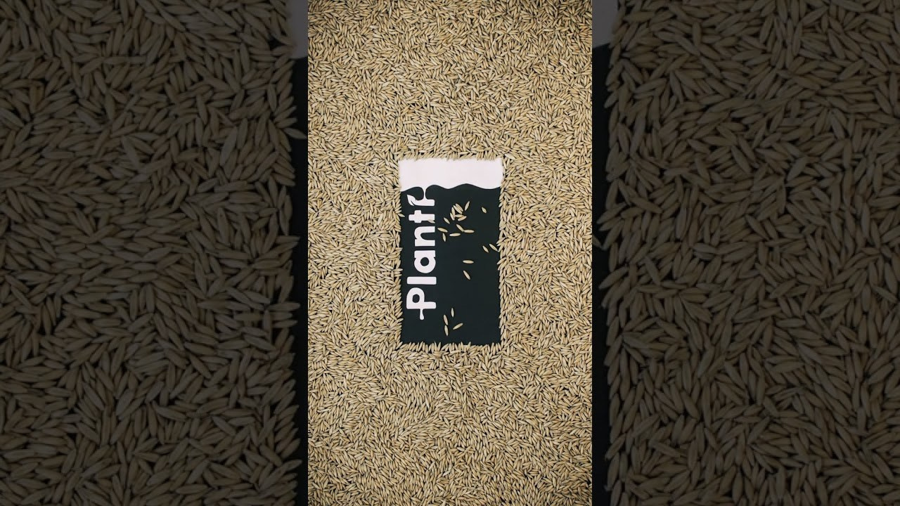 Planti. Anna Z commercial photographer and graphic designer based in Turku