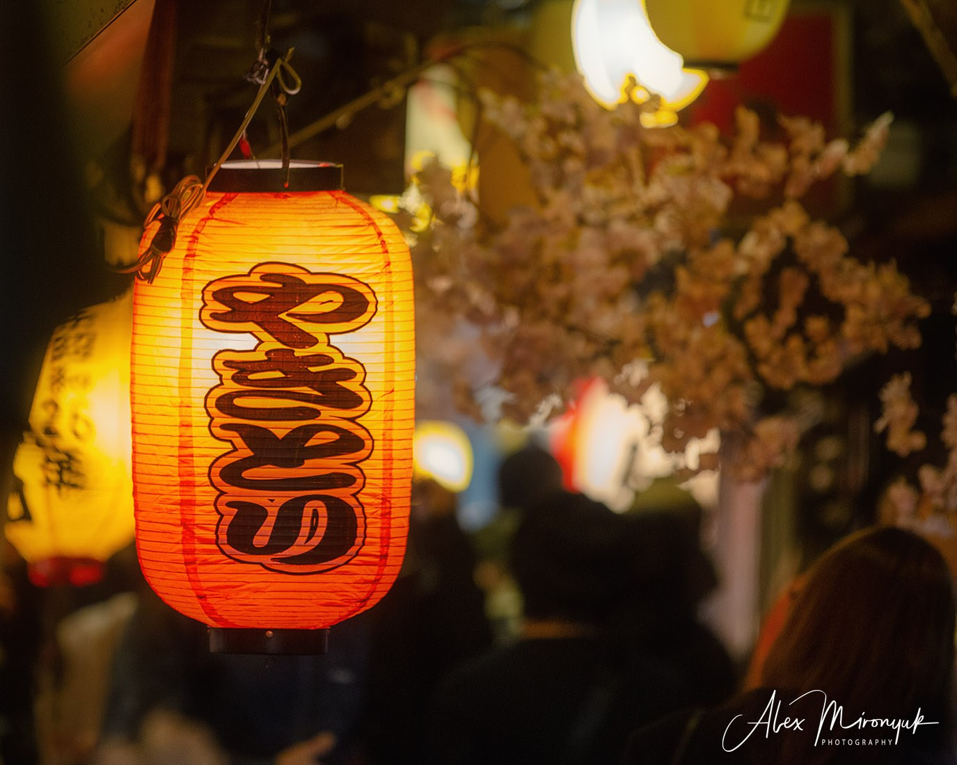 Hanami Season in Japan. Pet, Senior, Landscape, portrait studio, photographer in Miami and Sou