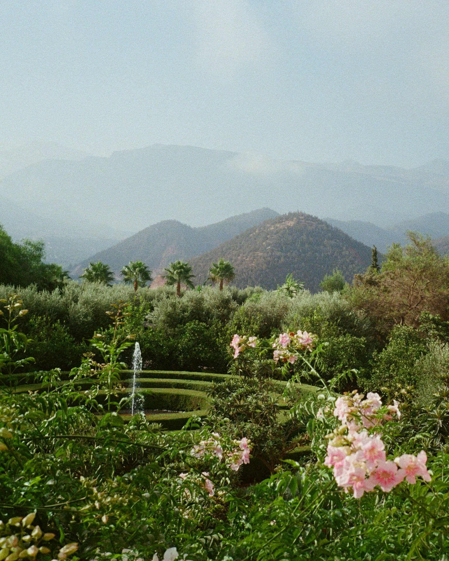 Garden landscape with mountains, destination wedding setting with fountain and pink flowers
