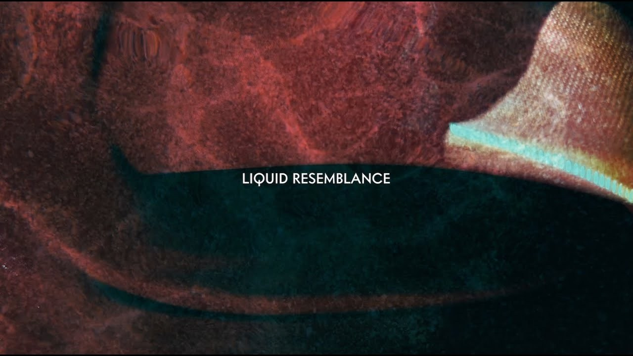 Films. Tanya Kolser — Visual Artist, Director