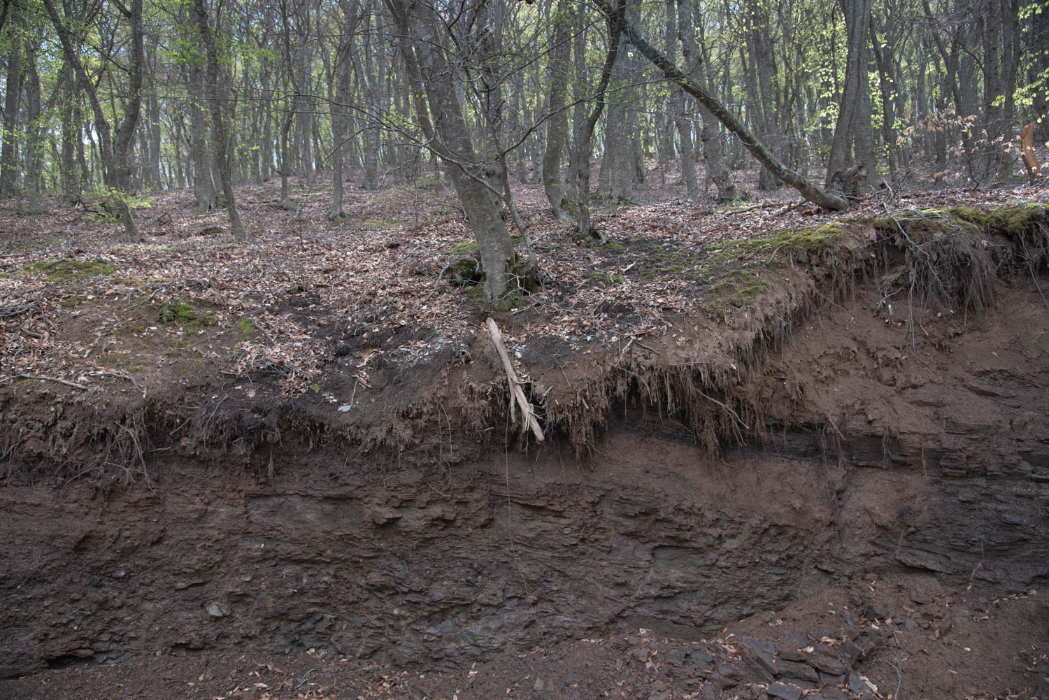 All I was told. Документальный и репортажный фотограф Айгуль Михайлова