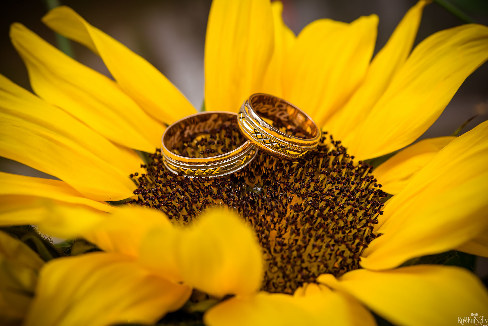 Fotogrāfs Romualds Rubenis un Artemijs Stašāns