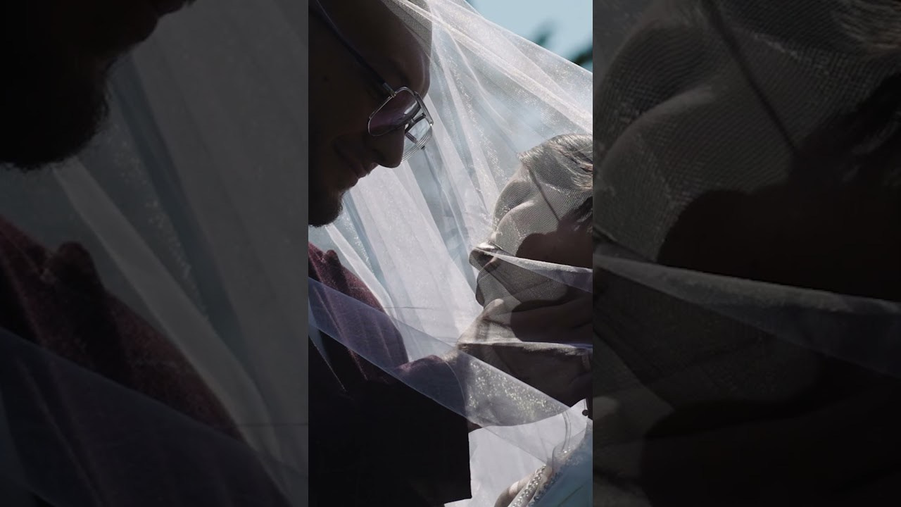 Портфолио. Свадебная видеосъемка в Грузии