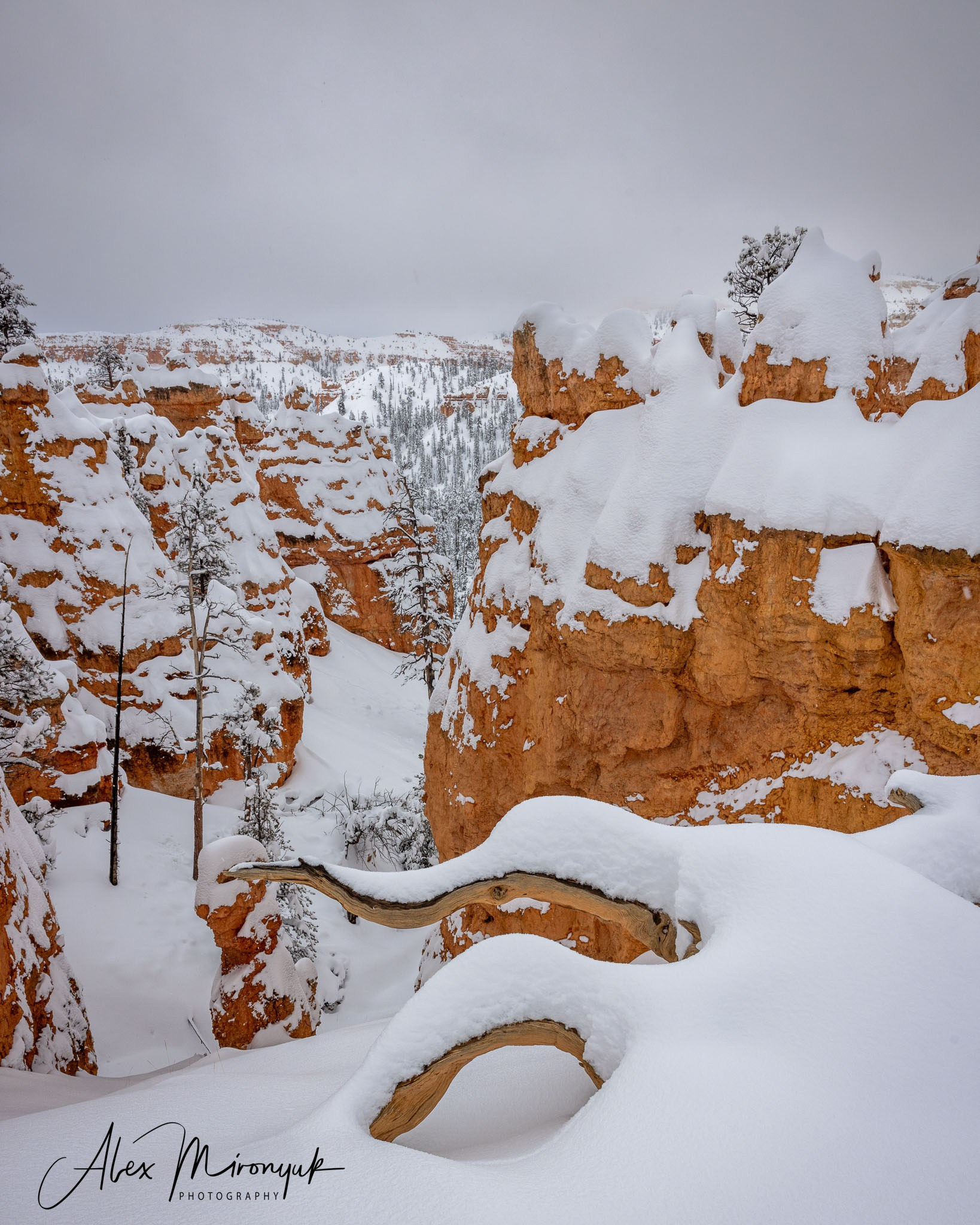 New Year In Utah. Pet, Senior, Landscape, portrait studio, photographer in Miami and Sou