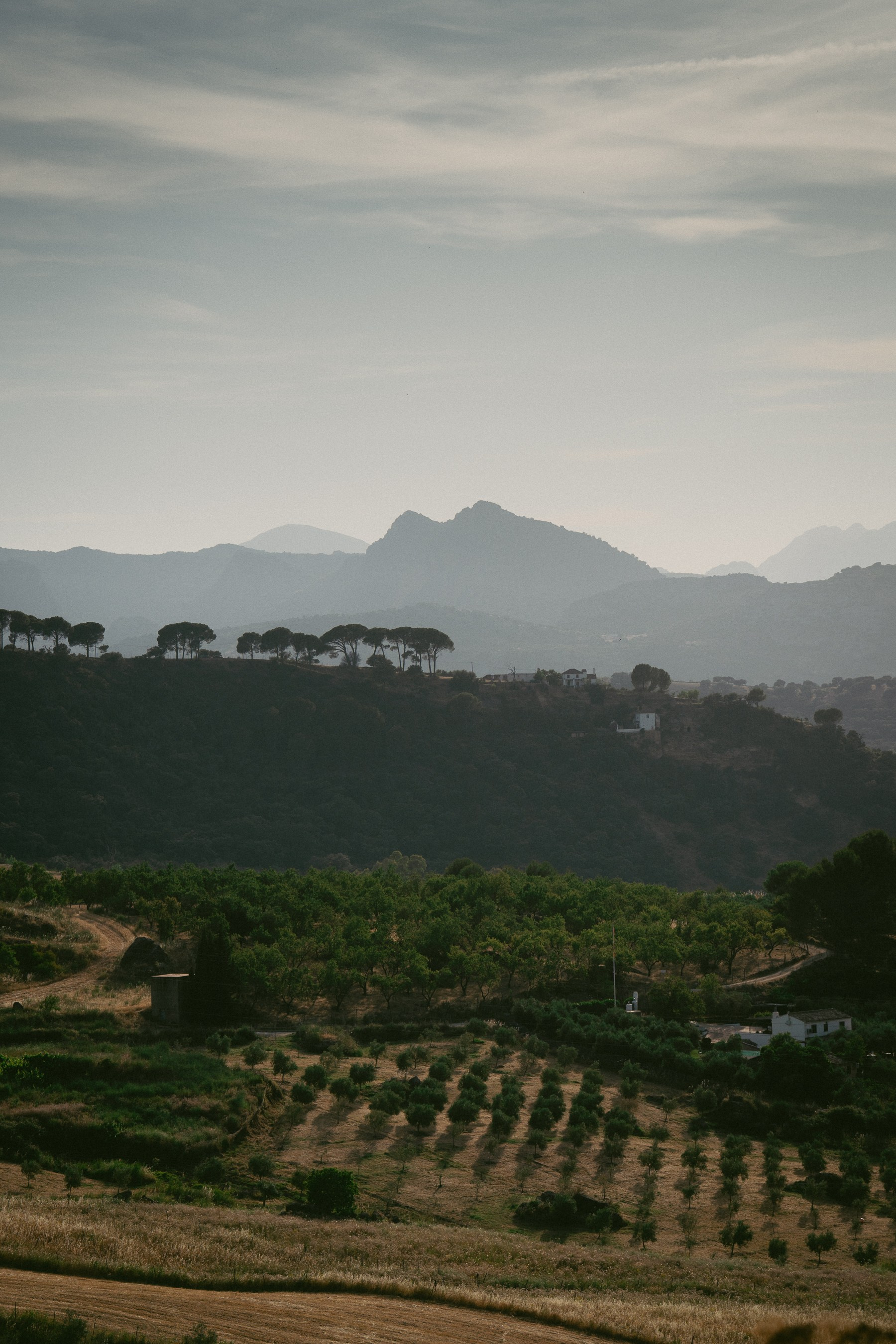Filmmaker, Photographer & AI Visual Artist in Costa del Sol — Alexandru Avram
