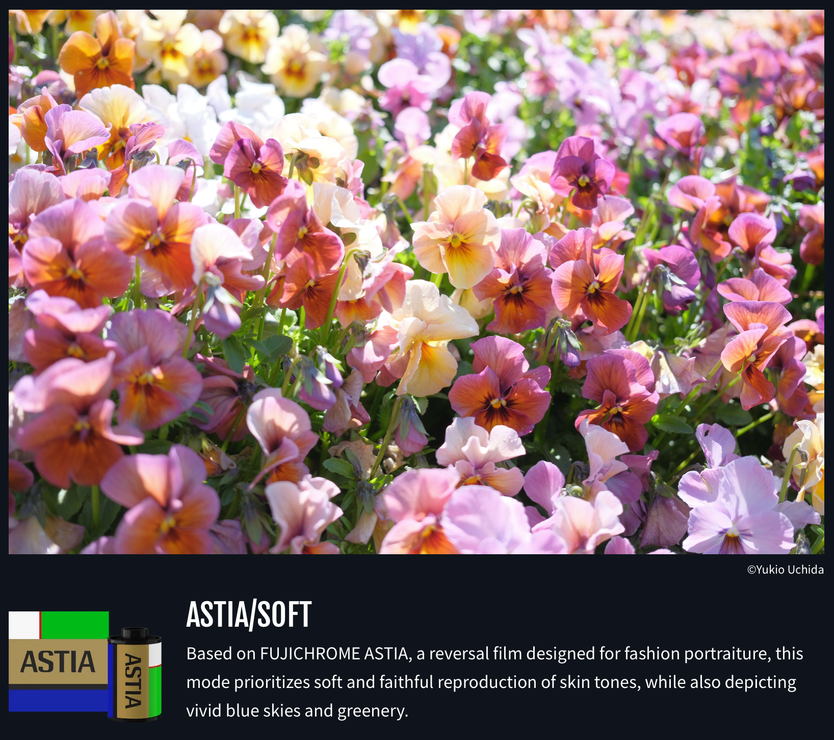 Fujifilm X-E5: ახალი ერა კომპაქტური კამერების სამყაროში?. @Gio.Fujifilm ოფიციალური აბასადორი, X-ფოტოგრაფი