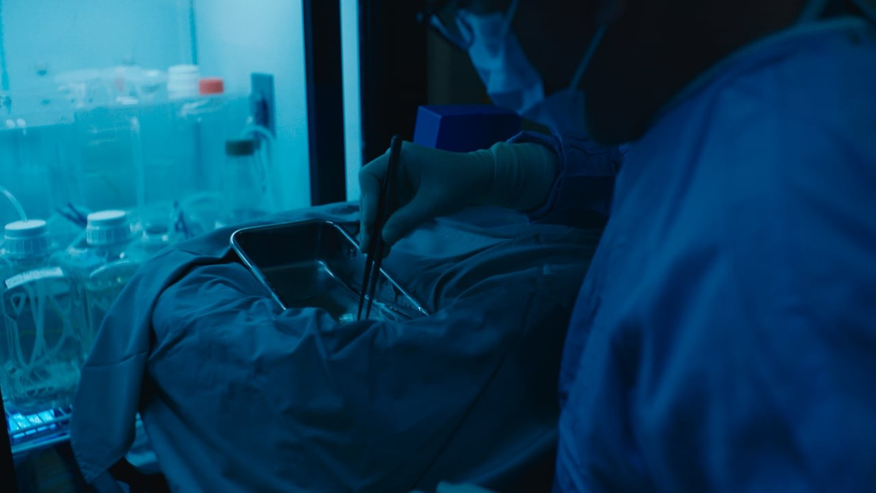 Longevity. Singularity Film