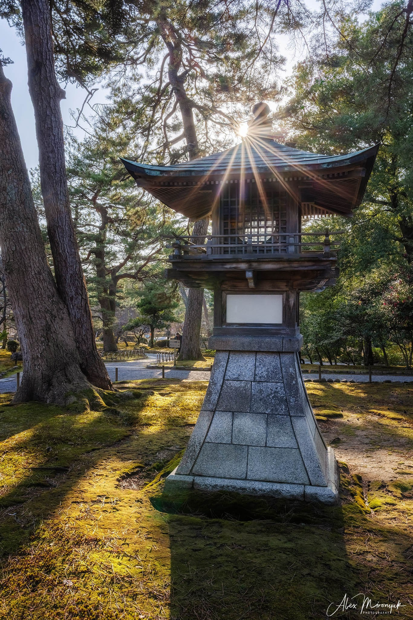 Winter Japan: Snow Monkeys, Castles & Timeless Villages. Pet, Senior, Landscape, portrait studio, photographer in Miami and Sou