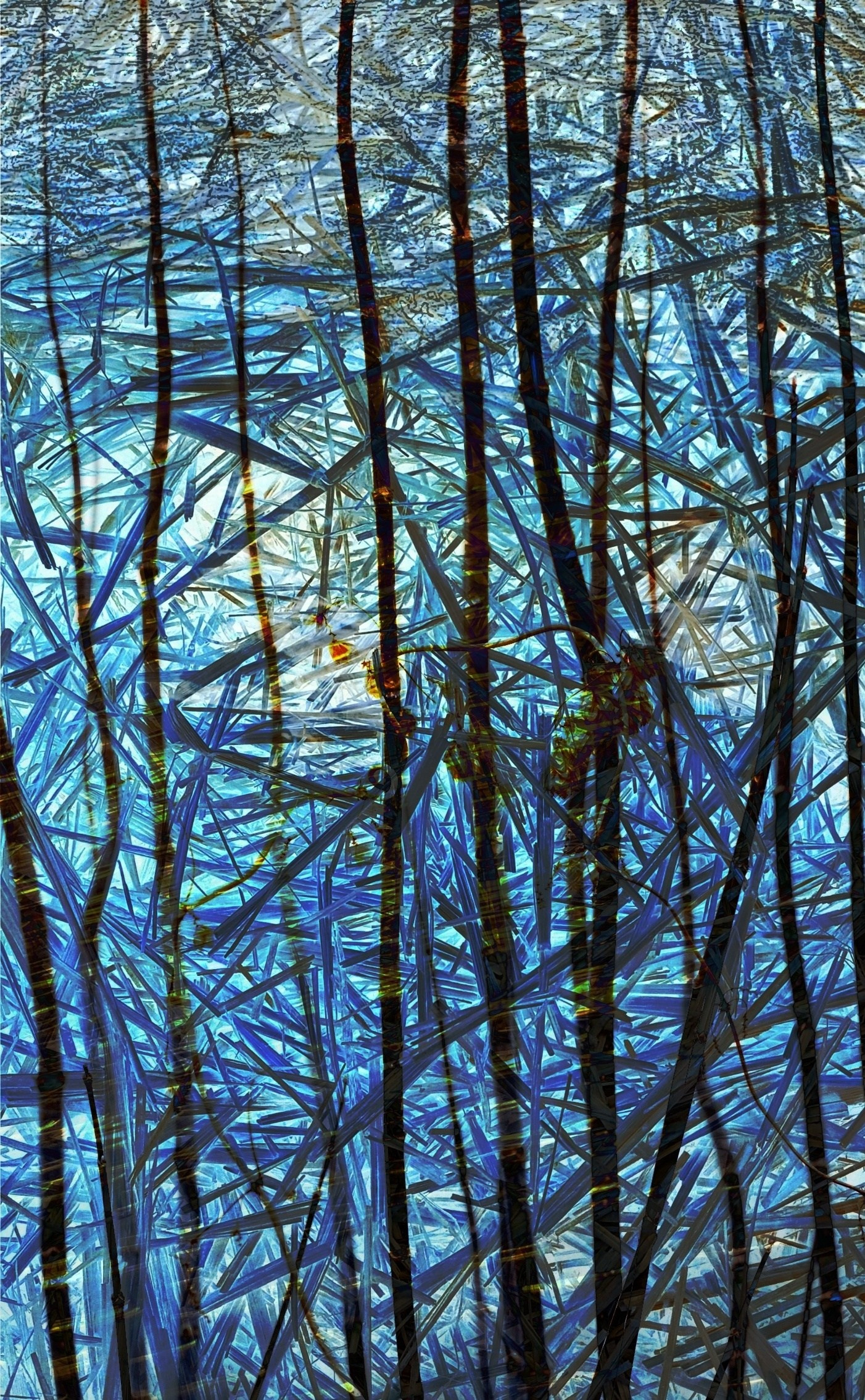 Продаж робіт. Photographer artist Liashenko Oksana