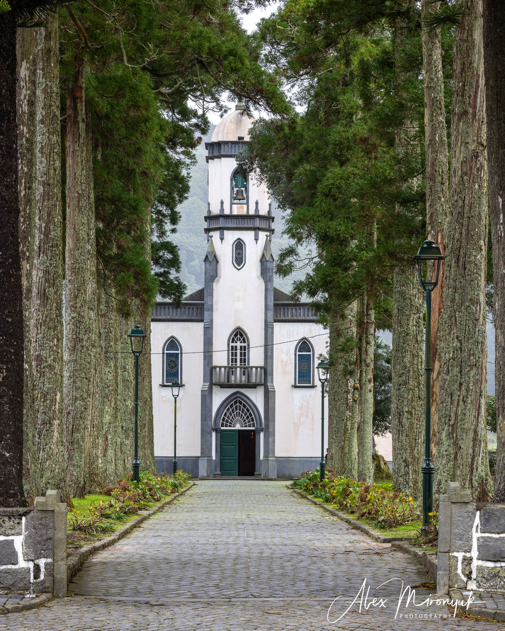 Madeira And Azores. Pet, Senior, Landscape, portrait studio, photographer in Miami and Sou