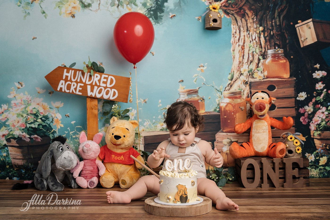 Arta’s “Winnie The Pooh” cake smash session