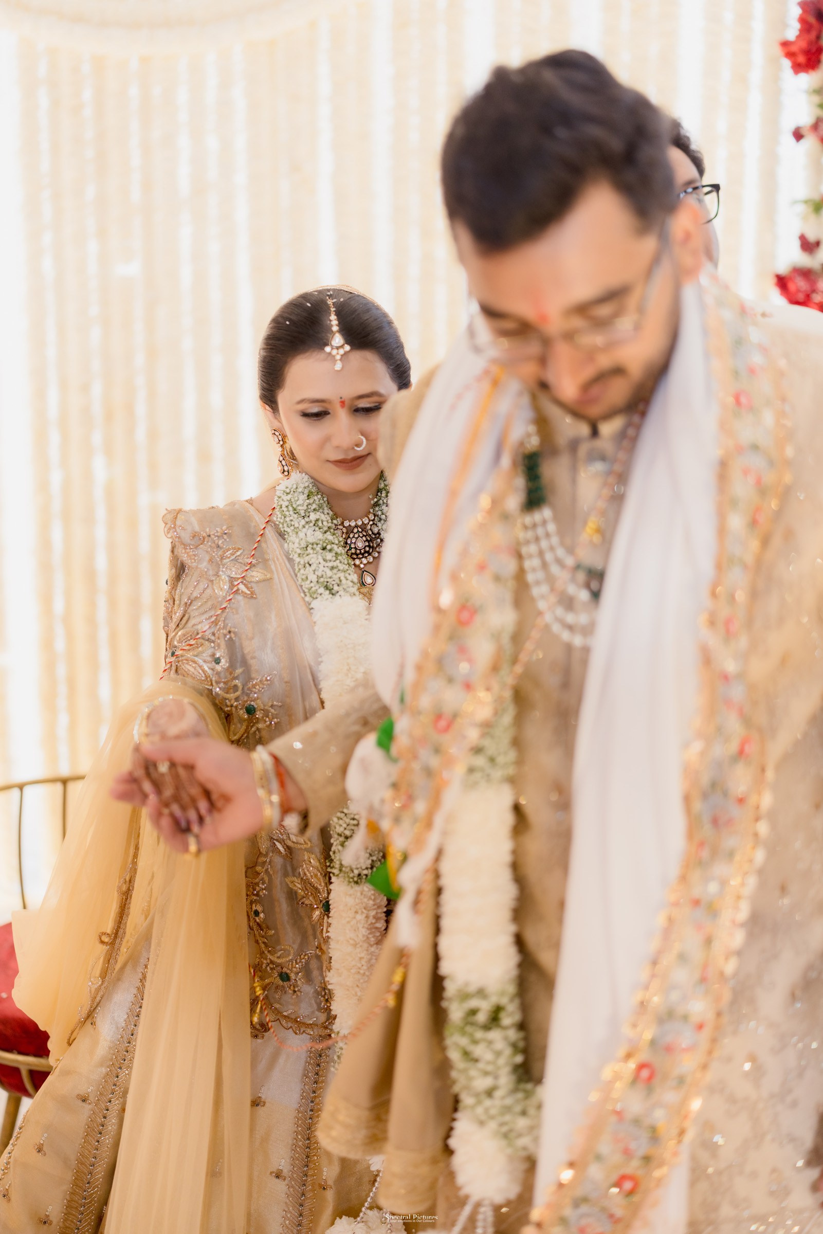 Shivani & Yash. Spectral Pictures