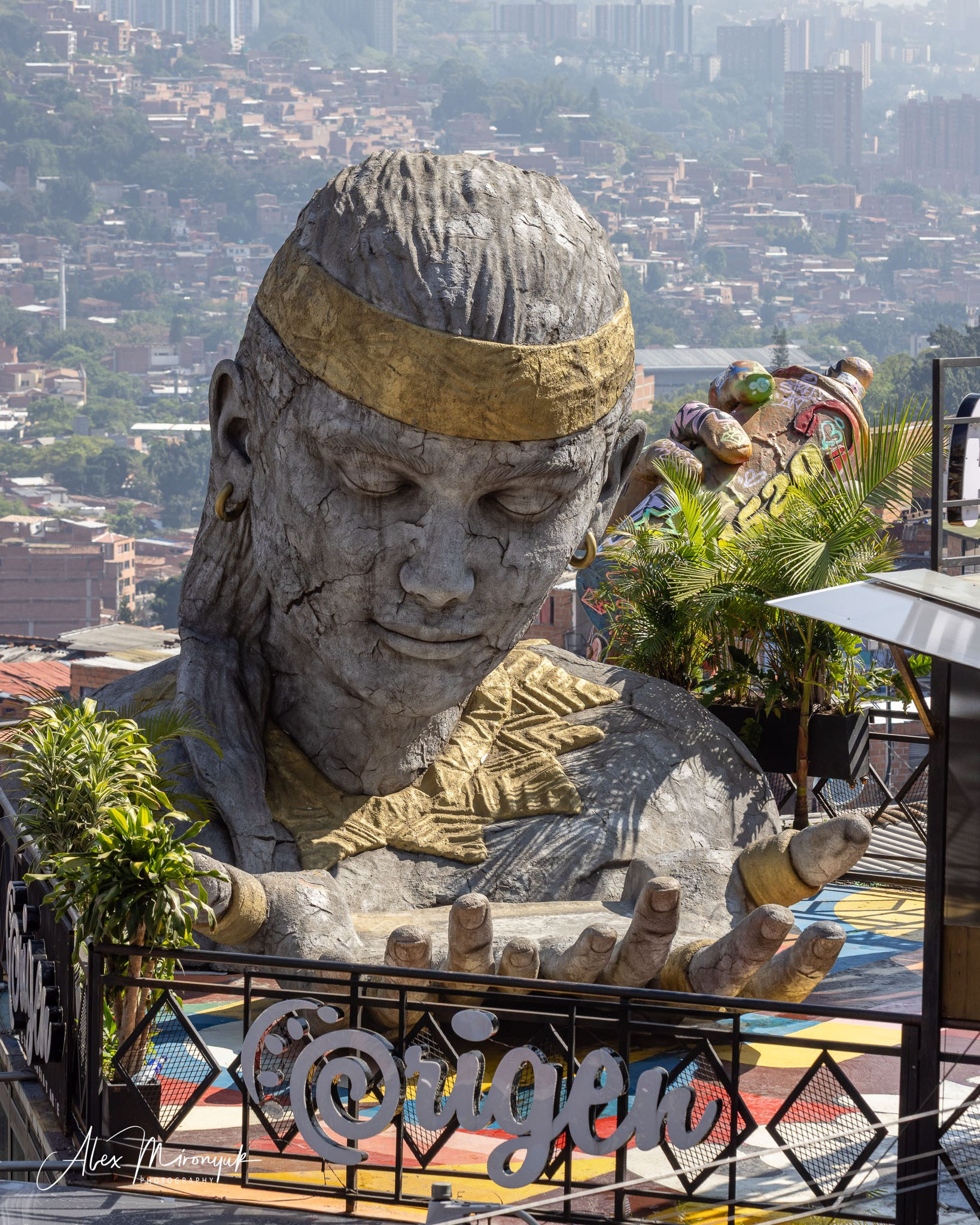 Colombia in Style. Pet, Senior, Landscape, portrait studio, photographer in Miami and Sou