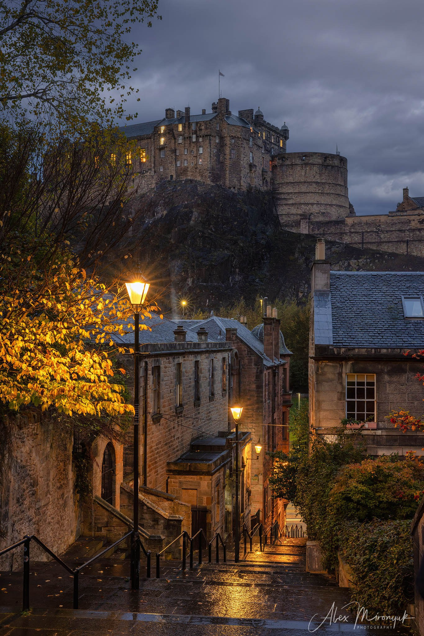 Scotland’s Highlands. Pet, Senior, Landscape, portrait studio, photographer in Miami and Sou