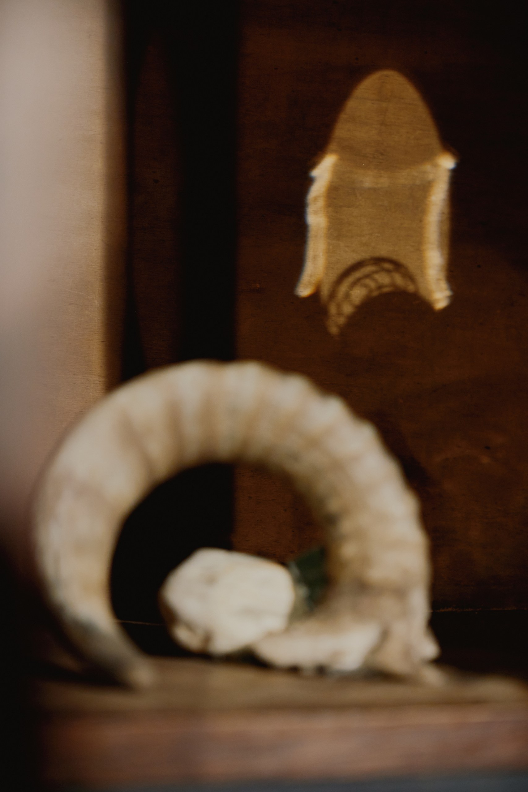 Spira mirabilis| Удивительная спираль. Alina Kugush