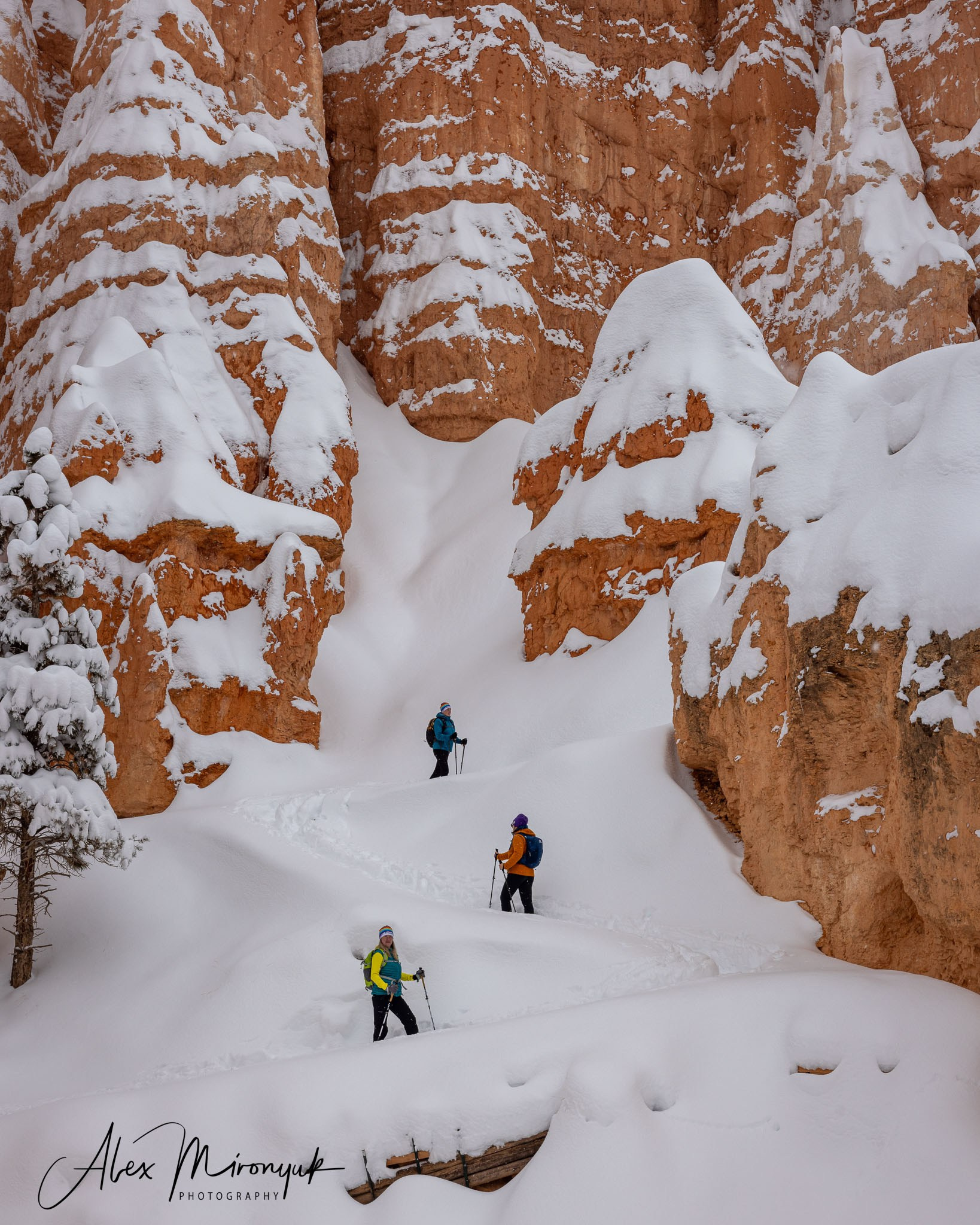 New Year In Utah. Pet, Senior, Landscape, portrait studio, photographer in Miami and Sou