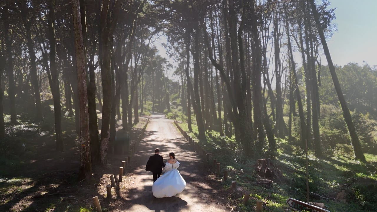 Wedding. Videographer based in Lisbon Mayya Shal