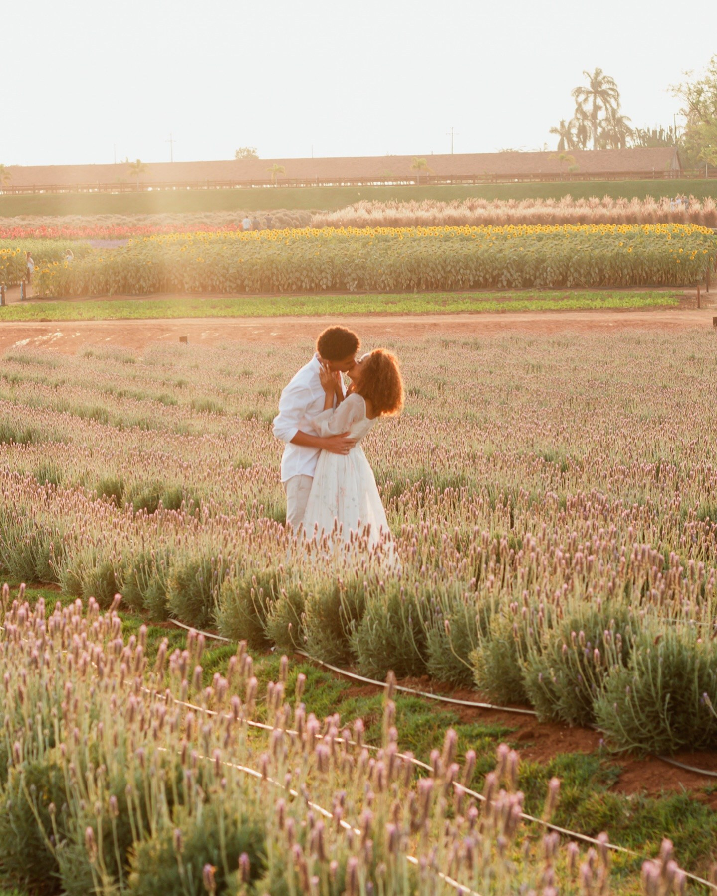 Joyce Maria Fotografia | Fotógrafa em Holambra