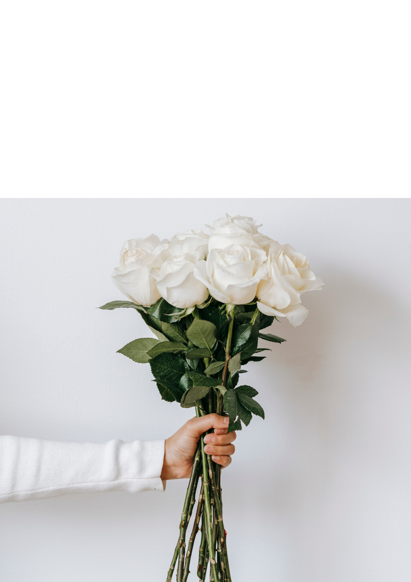 Testimonials. Wedding and Event Photographer— Bucharest, Romania