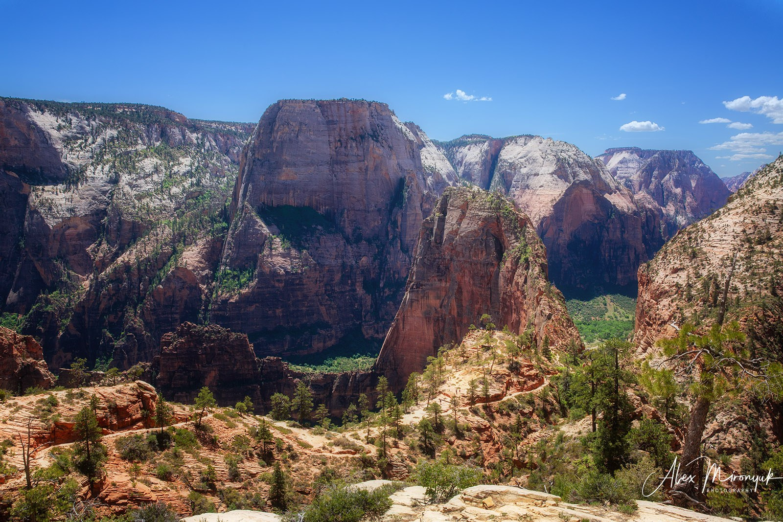 New Year In Utah. Pet, Senior, Landscape, portrait studio, photographer in Miami and Sou