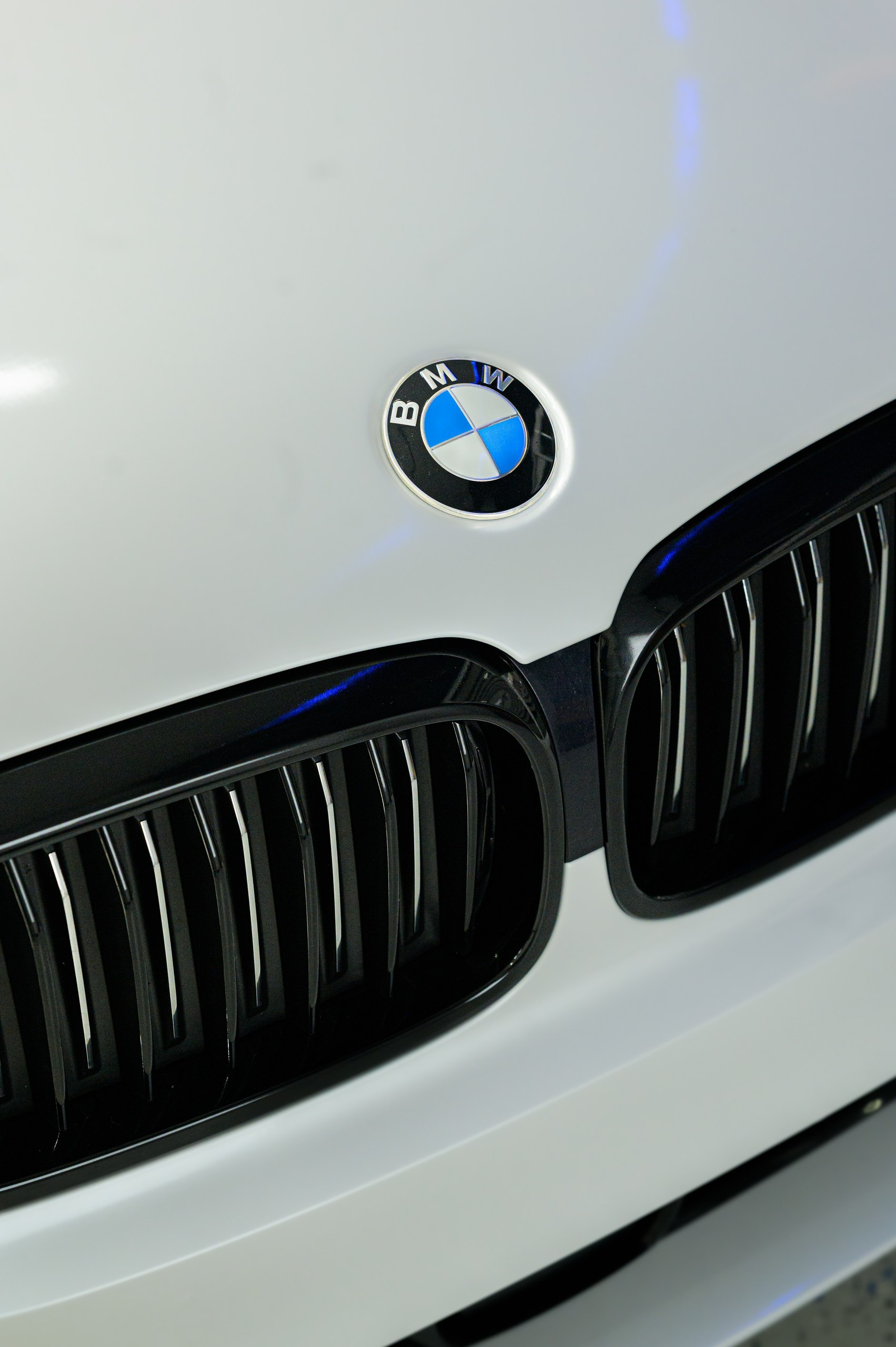 Brands. BCarp Productions