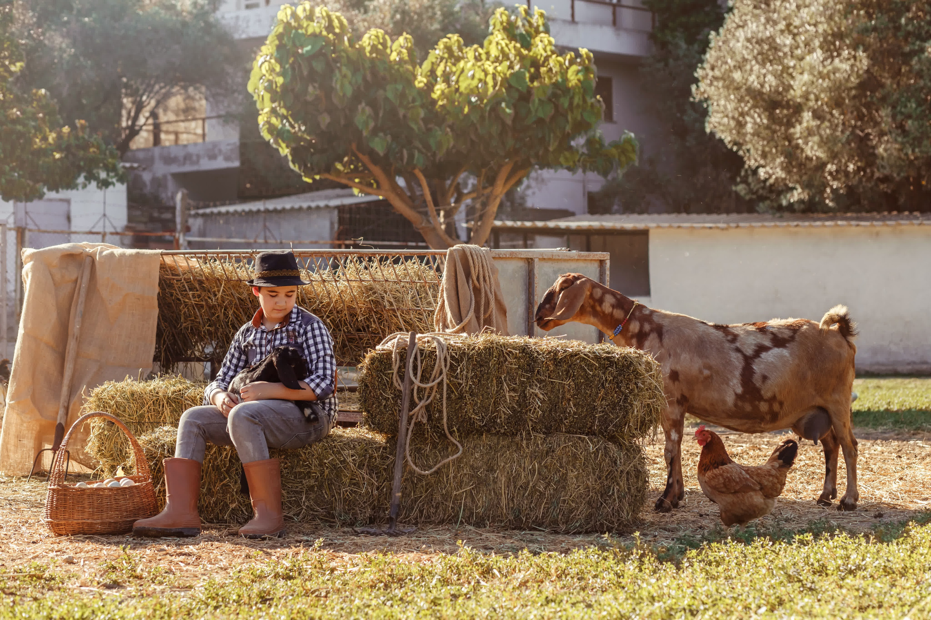 Farm photo shoot with a baby goat